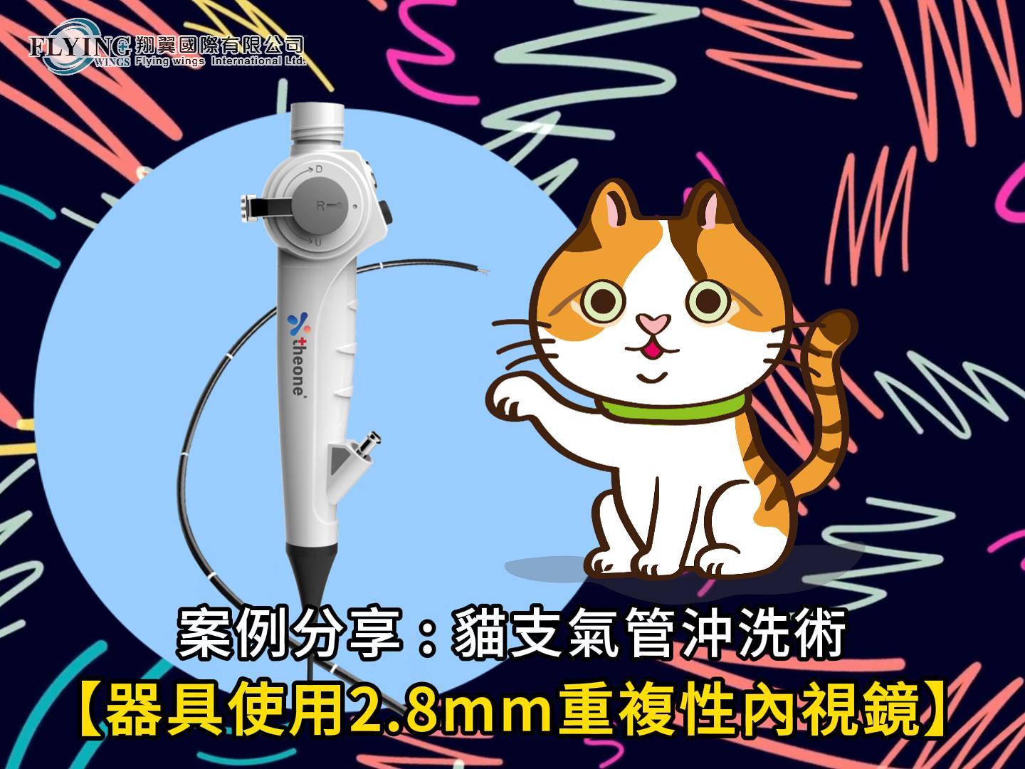 貓支氣管沖洗術