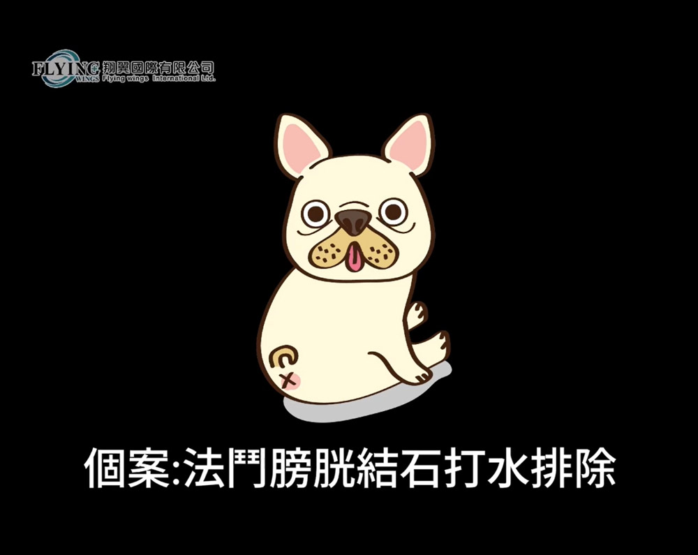 法鬥結石利用內視鏡打水排出