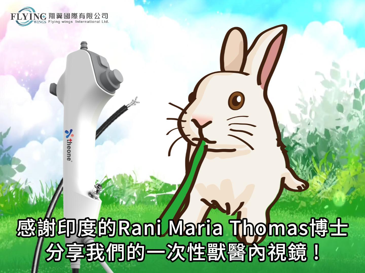 海外獸醫推薦內視鏡