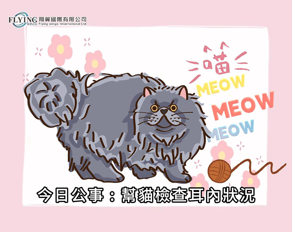 檢查貓咪耳朵內部情況適合用哪款內視鏡?