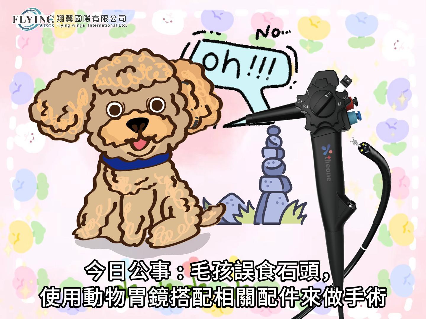 緊急任務：發現誤吞石頭需做取出手術
