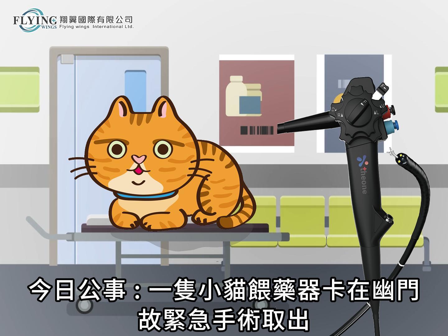 一隻貓咪誤吞餵藥器軟頭卡在幽門