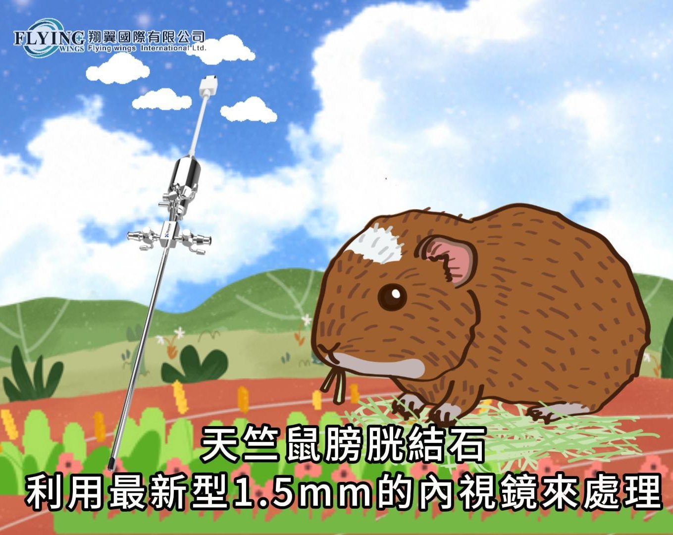 1.5mm多功能鏡協助天竺鼠排除膀胱結石