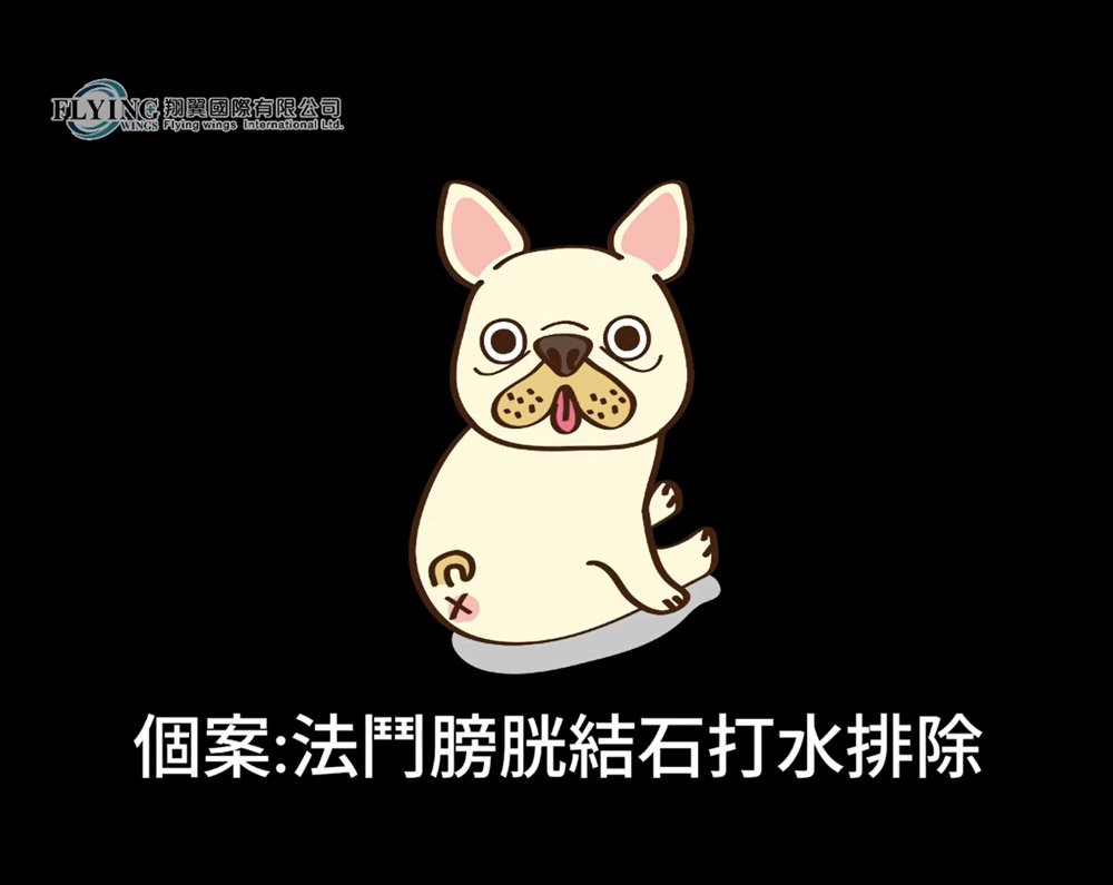 法鬥結石利用內視鏡打水排出