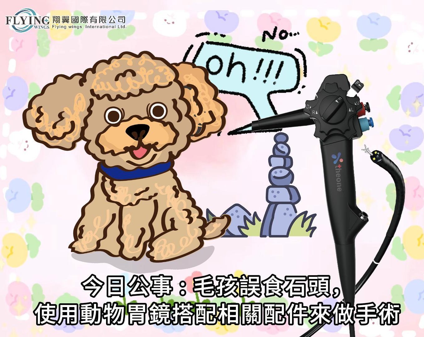 緊急任務：發現誤吞石頭需做取出手術