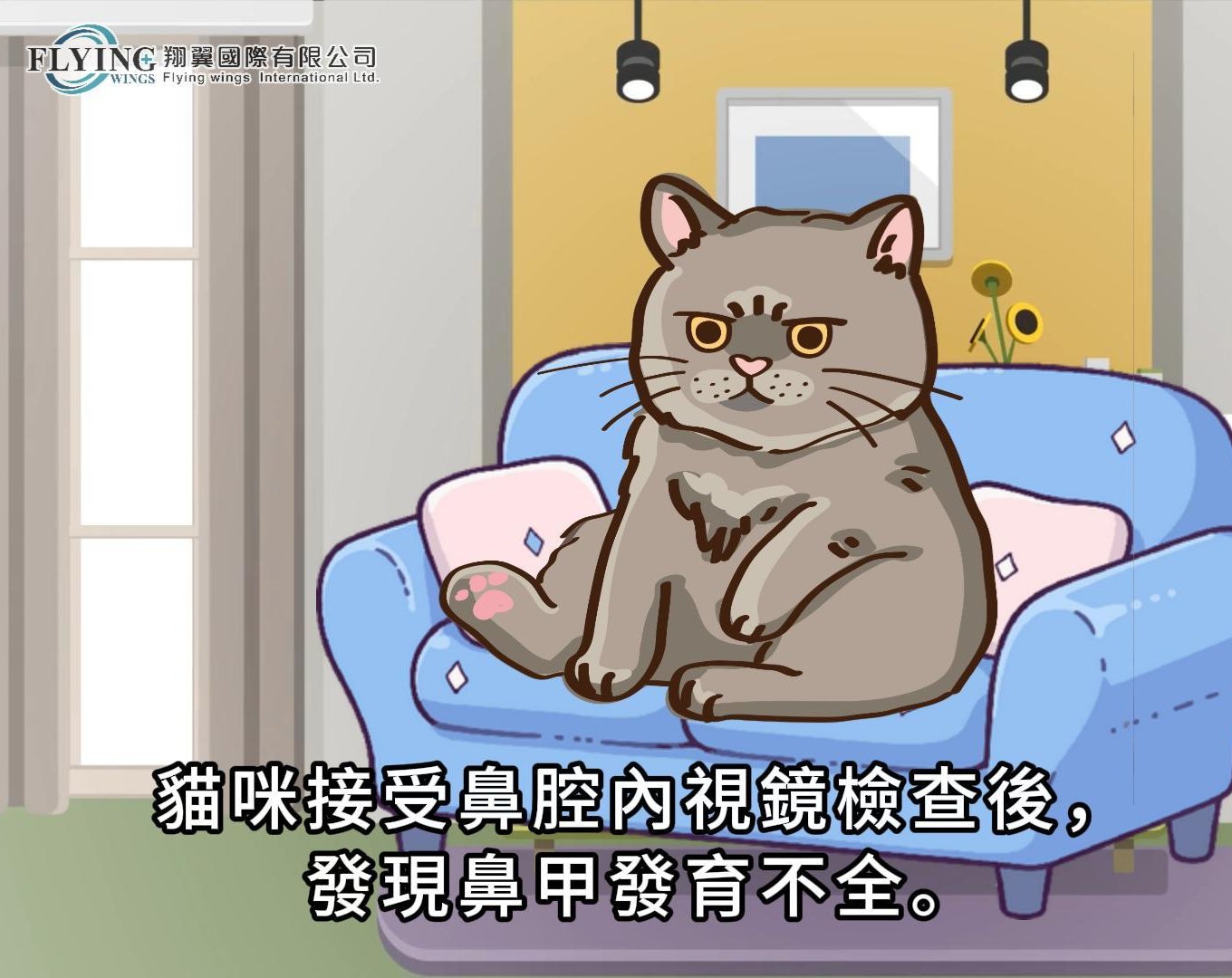 貓咪接受鼻腔內視鏡檢查後發現鼻甲發育不全