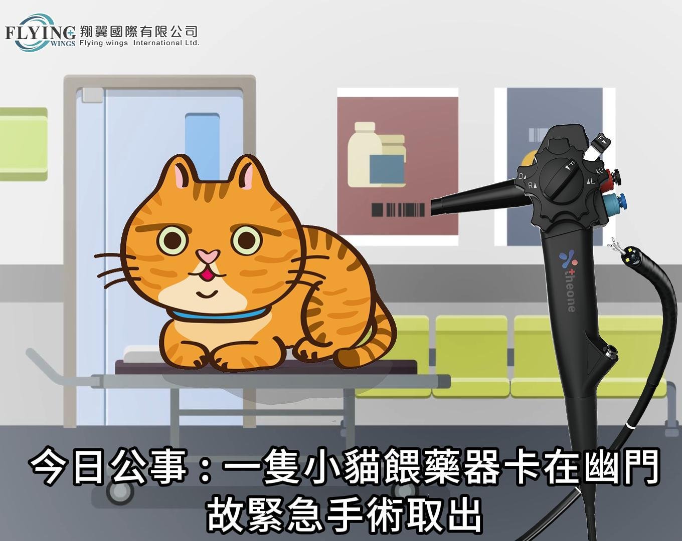 一隻貓咪誤吞餵藥器軟頭卡在幽門