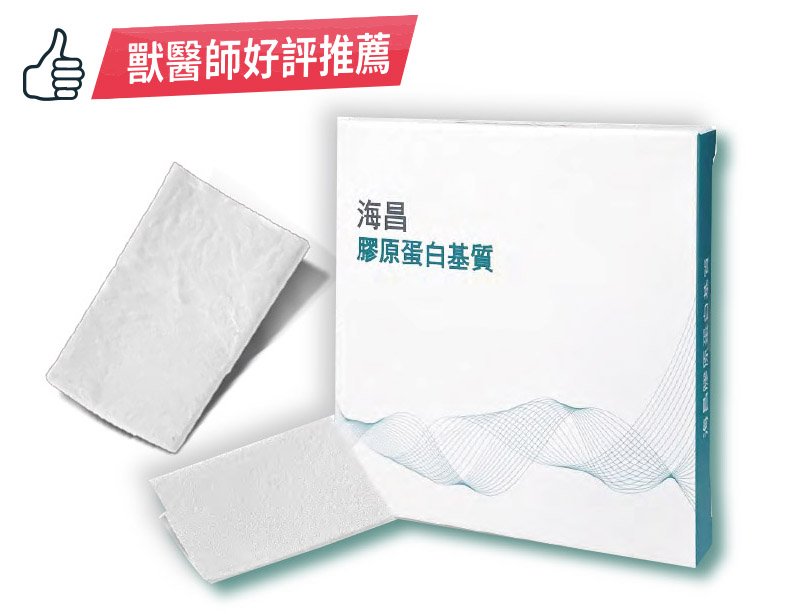 海昌膠原蛋白基質-COTE型