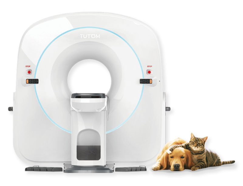 【TC460】動物CT