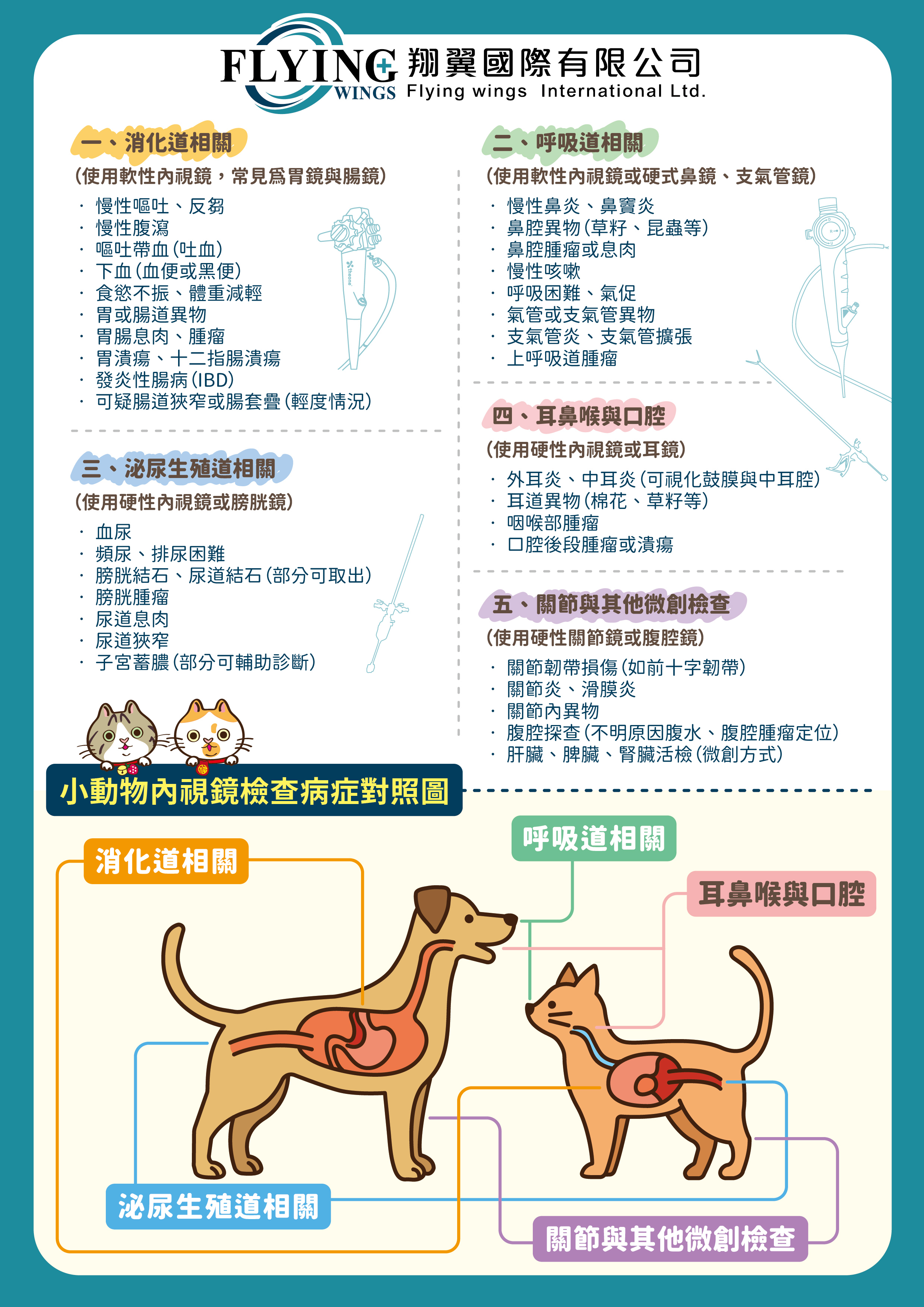 重複性電子式動物四向胃鏡