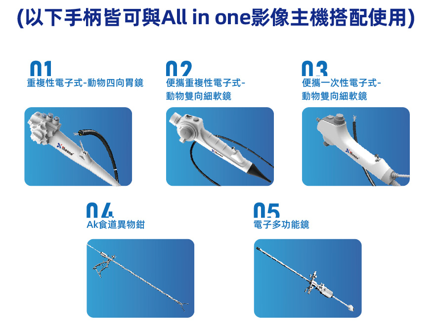 ALL IN ONE 內視鏡